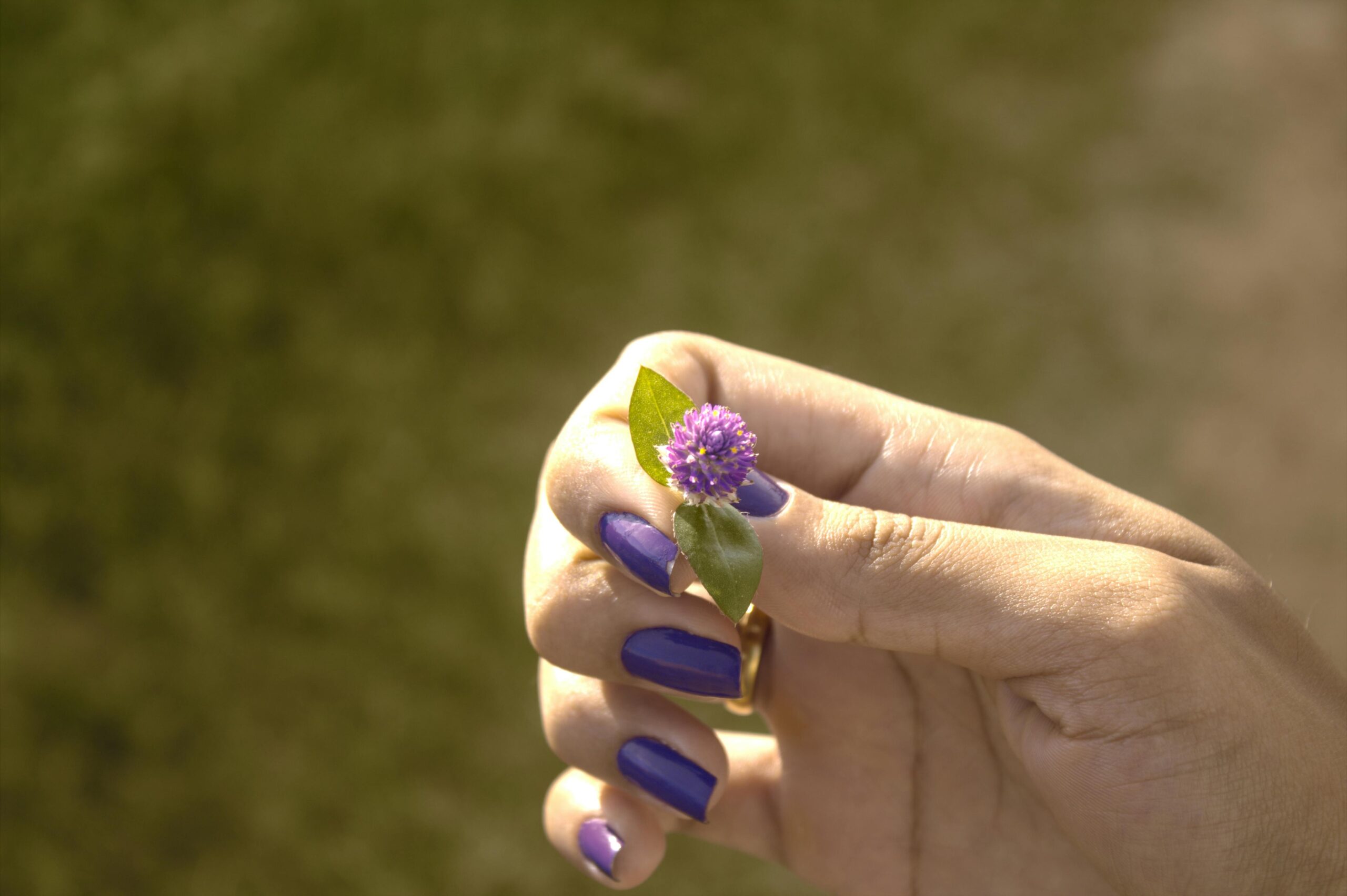 spring nail 